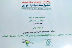 مهدی کشوریان مدرس دوره تولید ویدیو خلاقانه